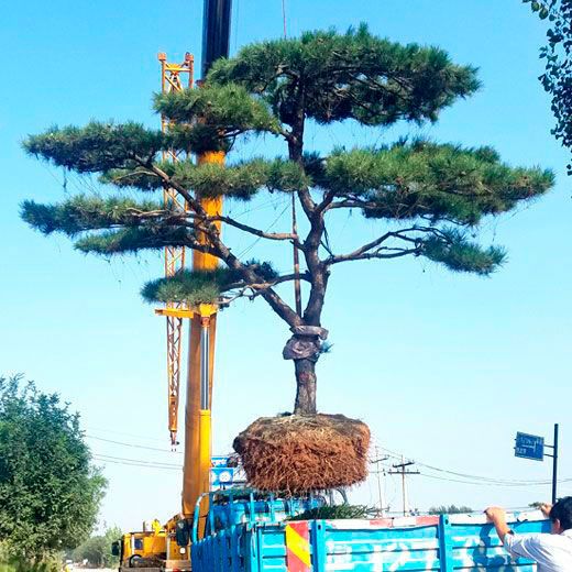 裝車現(xiàn)場